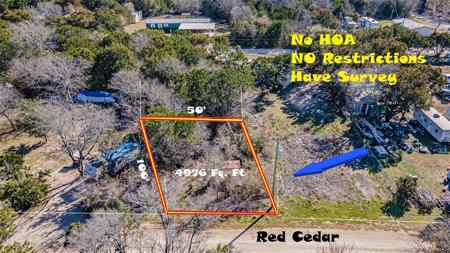 85 Red Cedar