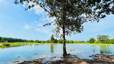Lot 5 FM514 Road