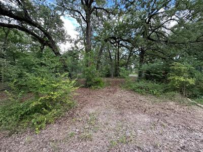 219 Red Robin Road