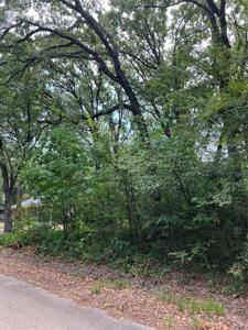 TBD Woodland Trail