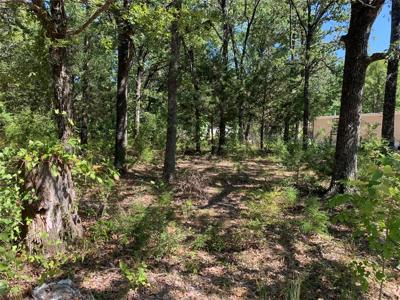 Cheyenne Trail