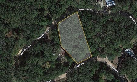 809 Wood Duck Trace
