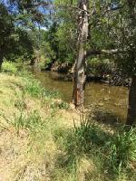 205 Captains Cove Lot 204