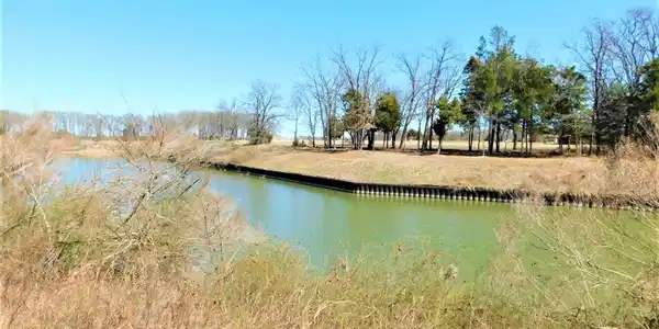 L 419 Sailboat Drive