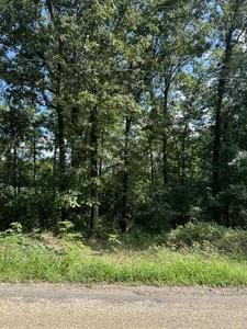 Lot 37 TBD County Road 2121