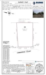 119 Cimmarron Court