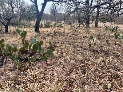 Lot 64 Janda Lane