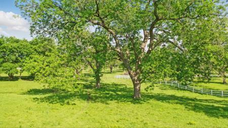 Lot #3 TBD Caraway Street