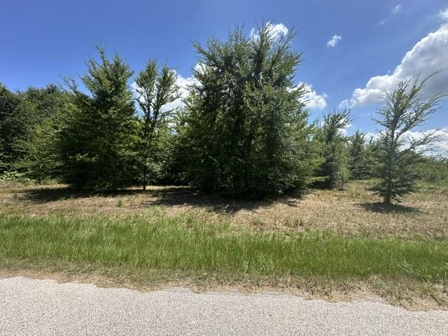 Image 1 Image 1