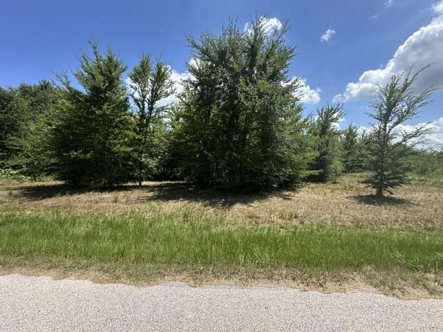 Image 4 Image 4