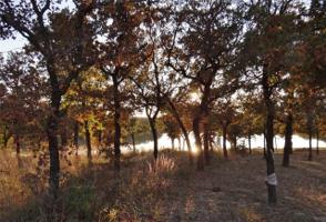 L419 Sunset Bay Pointe Court Lot 419