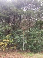 0 Cambridge Dr Lot 322