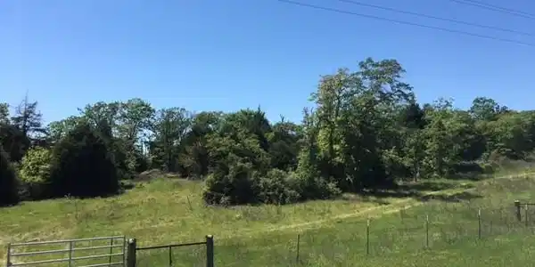 TBD E FM 937 Road