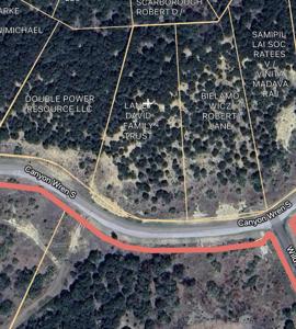 Lot 143 Canyon Wren S