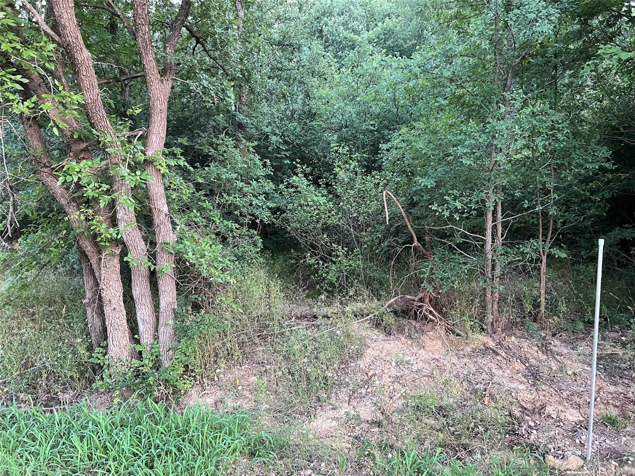 Image 4 Image 4