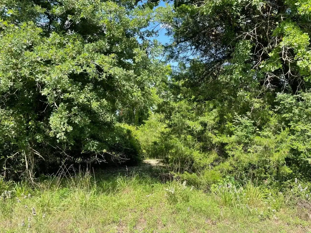 Image 1 Image 1