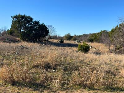 Lot 115 Balleycastle Drive