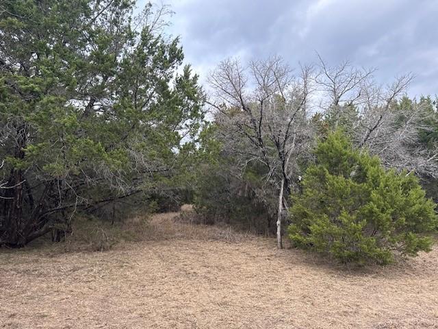 Image 2 Image 2