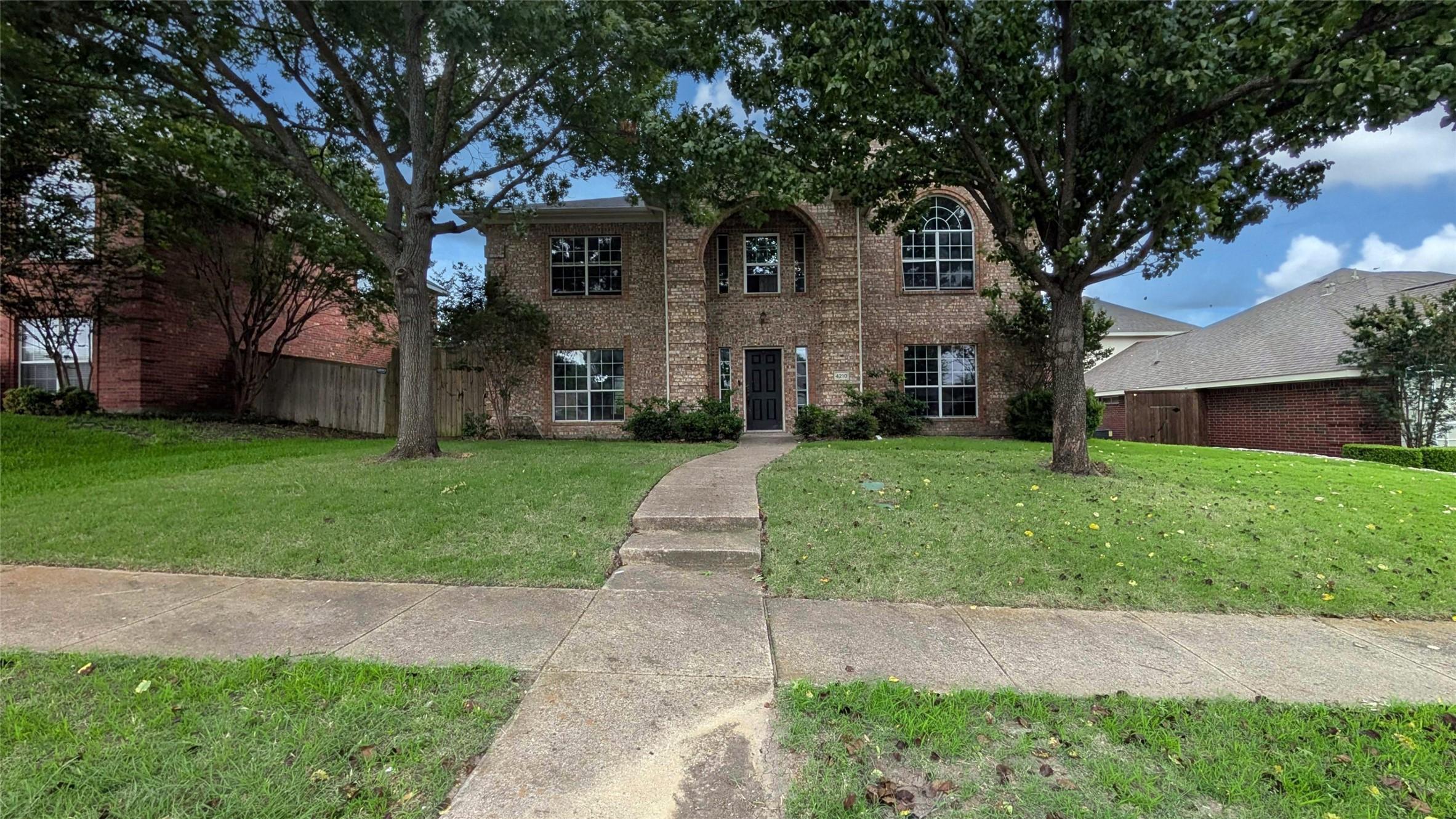 Image 4