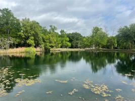 1088 White Bluff Drive