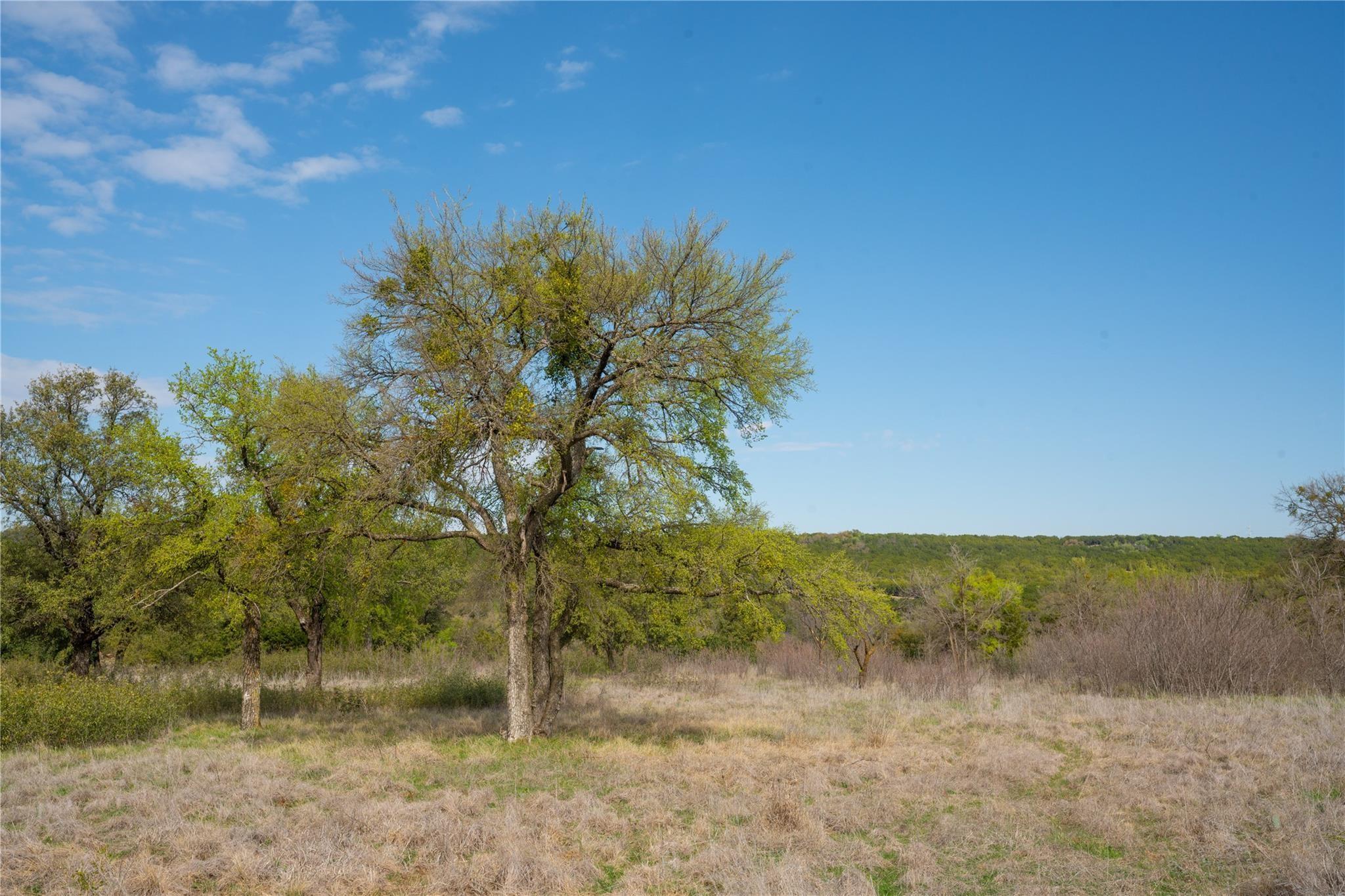 Image 3 Image 3