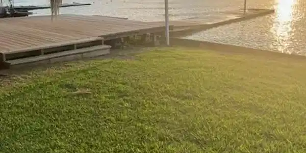2054 Pelican Isle