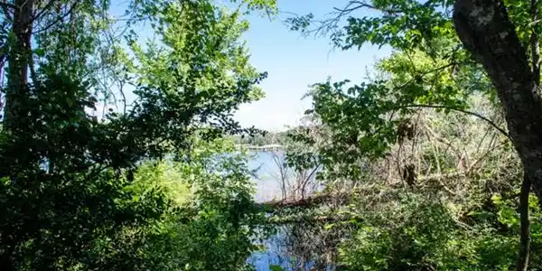 L 243 The Shores Drive Lot 243