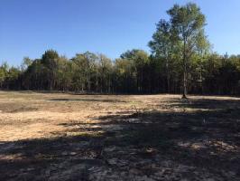 1049 County Road 2520 Lot 2,4