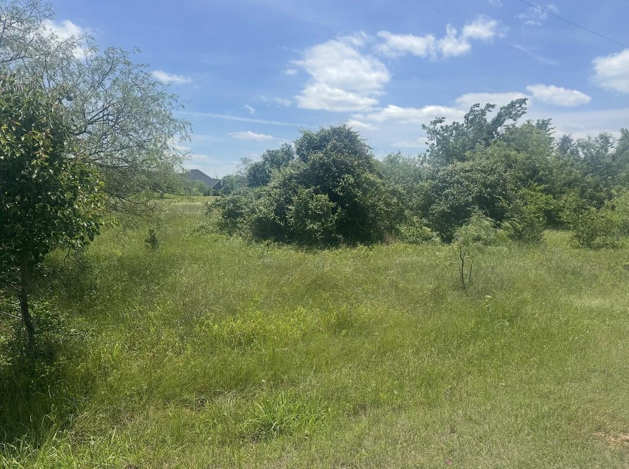 Image 2 Image 2