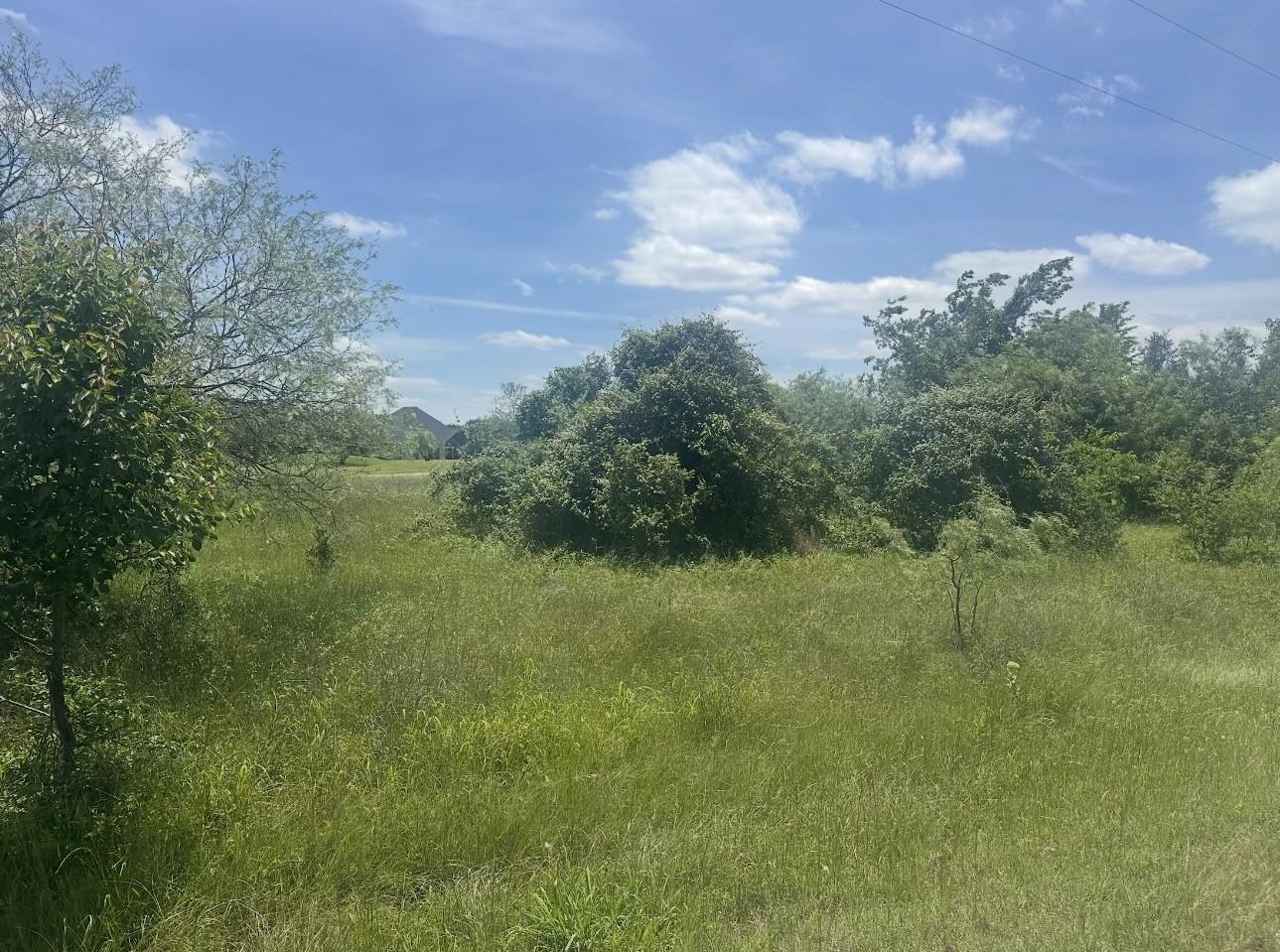 Image 3 Image 3