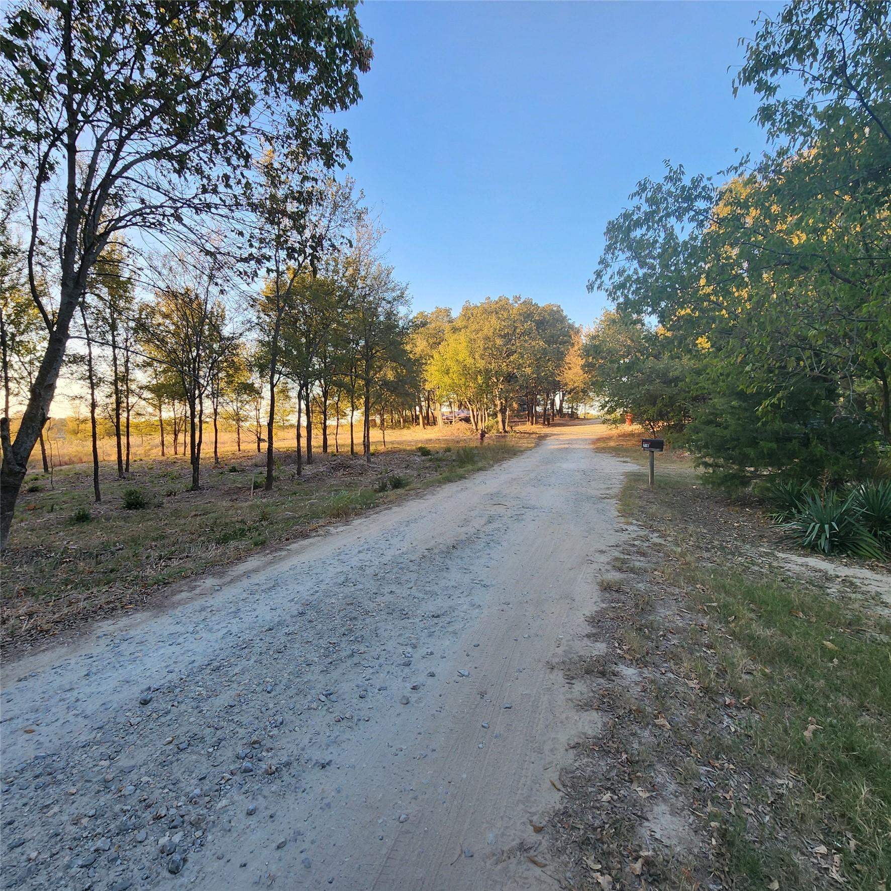 Image 4 Image 4