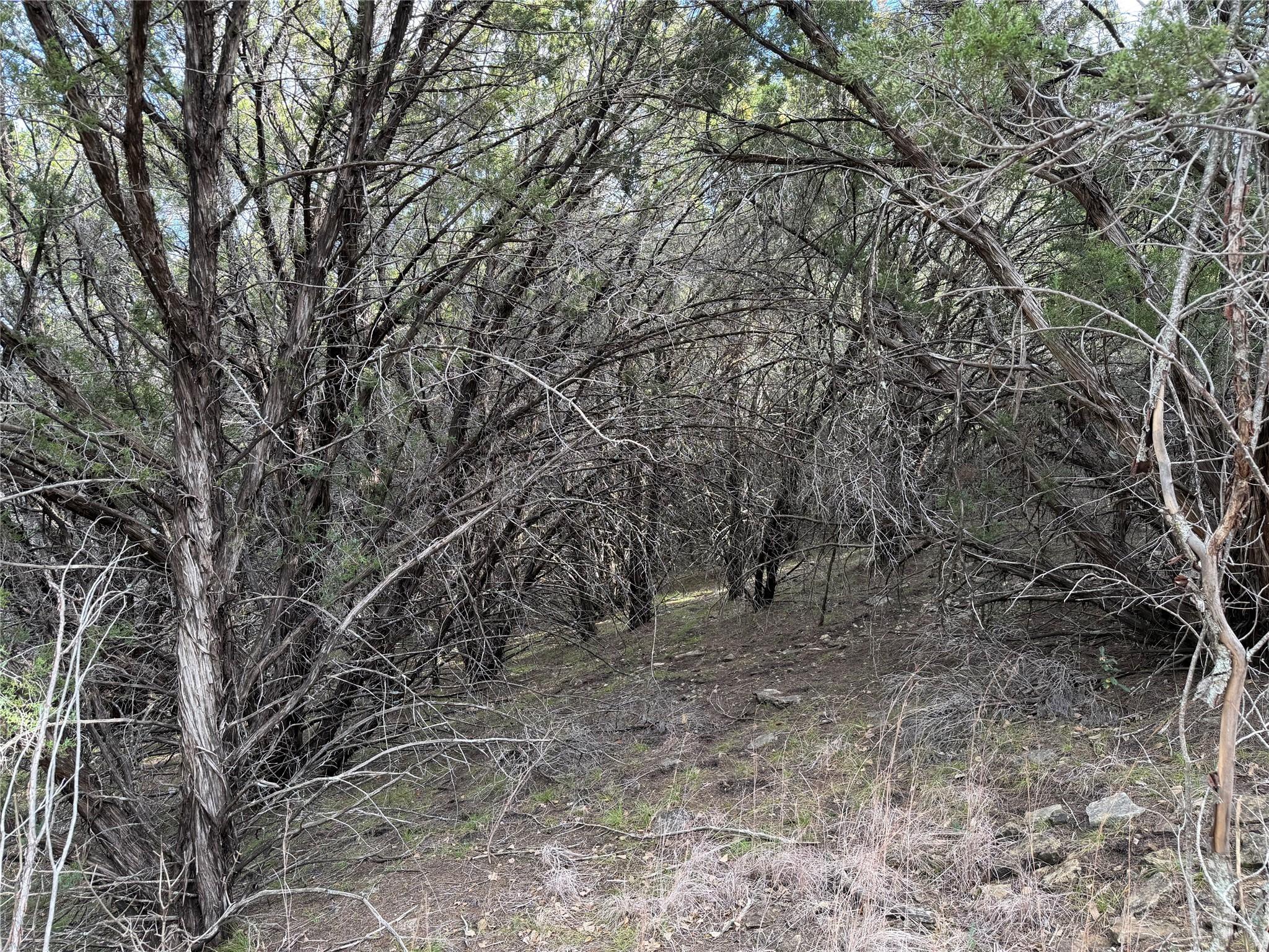 Image 3 Image 3