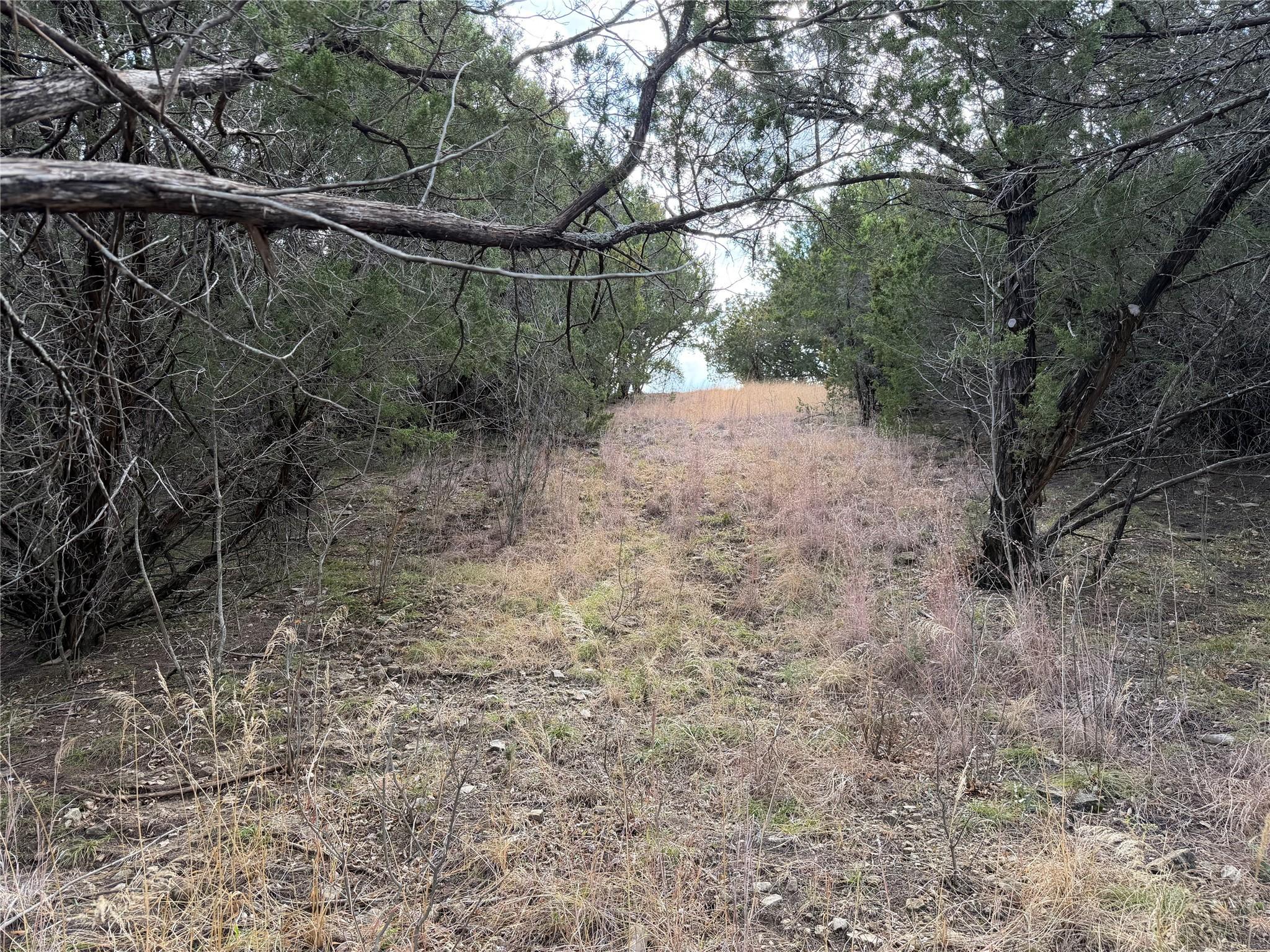 Image 4 Image 4