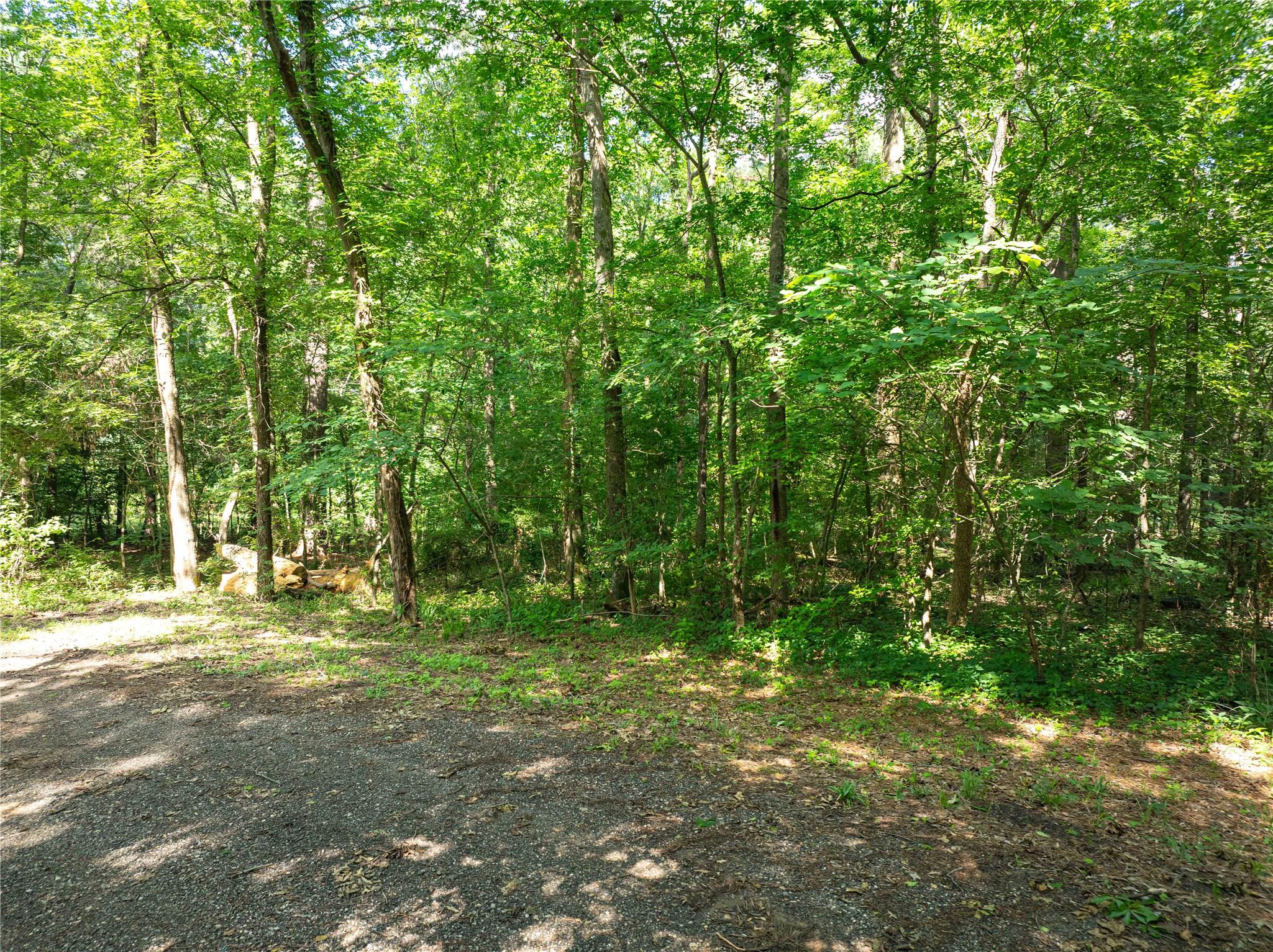 Image 4 Image 4