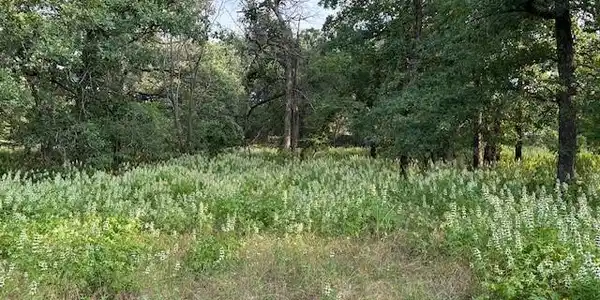 3.760 acres Boyd Road