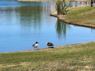 4012 Upper Lake Circle