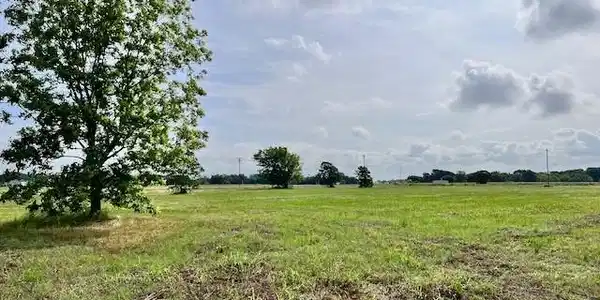 Image 3 Image 3