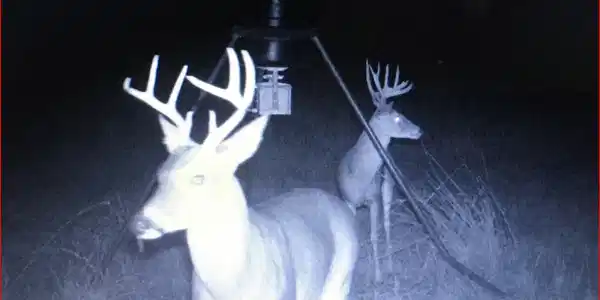 Image 3 Image 3