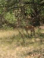 0 Oak Point Drive Lot 100