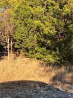 188 Melbourne Trail