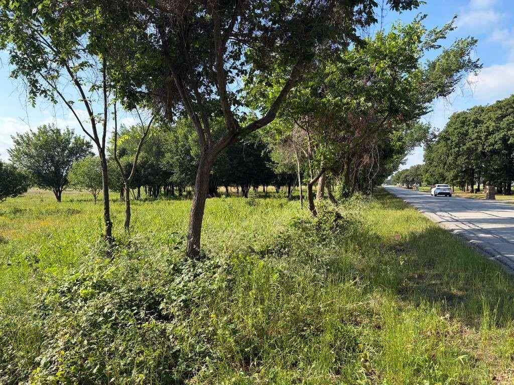 Image 4 Image 4