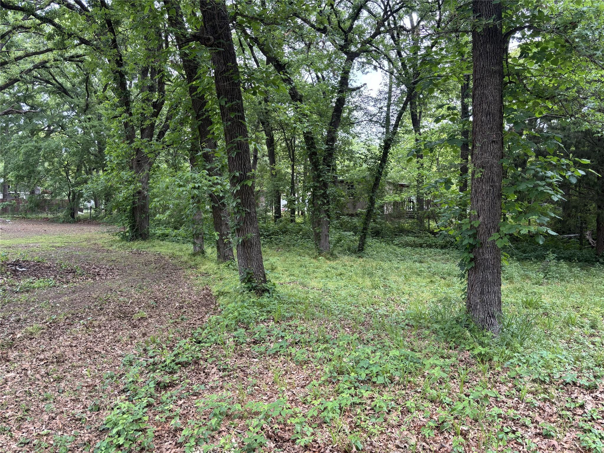 Image 2 Image 2