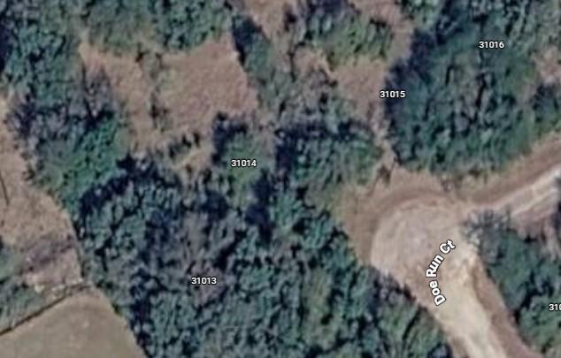Image 3 Image 3