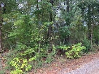 TBD Lot 17 Westwood Drive