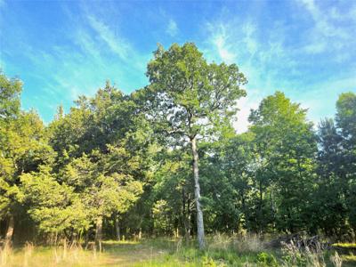 Lot 377 Timber Ridge