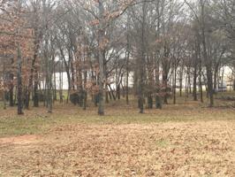 Lot 24 TBD Rs County Road 3500