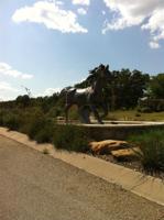 598 Cross Timbers Drive