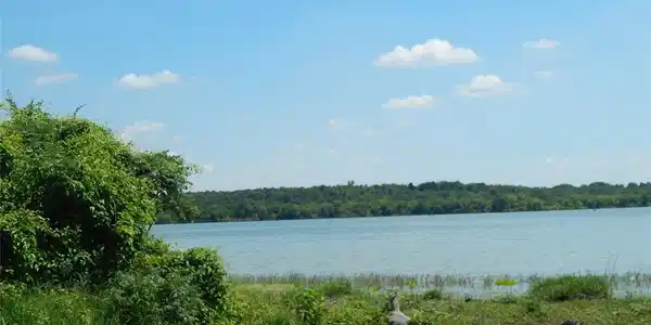 Lot 42 L 42 SE County Road 3124C