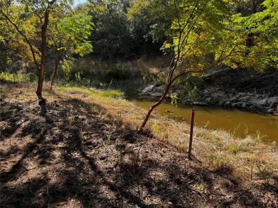 Lot 19 Lagoon