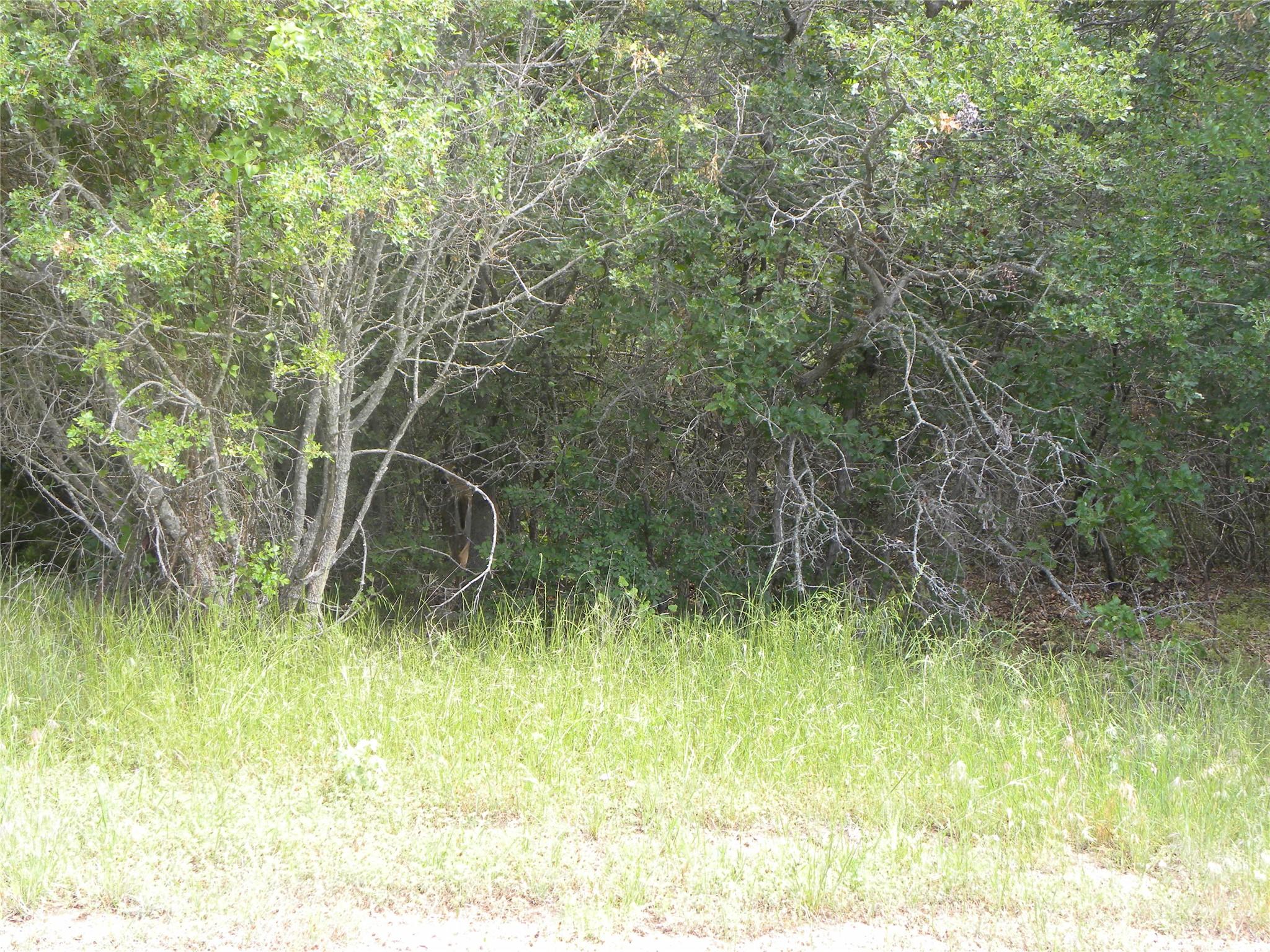 Image 2 Image 2